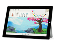 布尔津Surface 无法开启、Windows 无法启动或电池无法充电