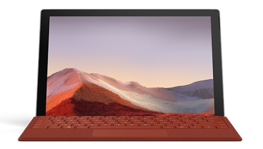 布尔津清洁和维护 Surface